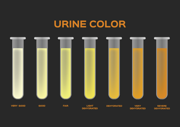 Color Chart For Dehydration